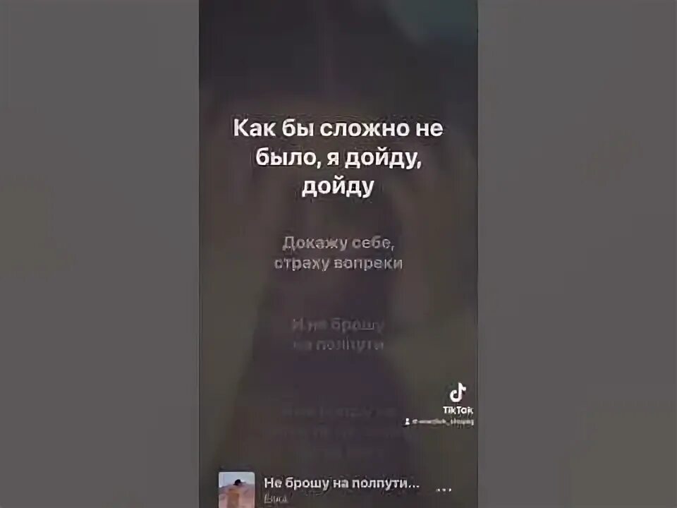 Текст песни елка не брошу на полпути. Текст песни елка не брошу на полпути. Текст песни елка не брошу на полпути. Я не брошу на полпути елка. Елочка лесной аромат слова.