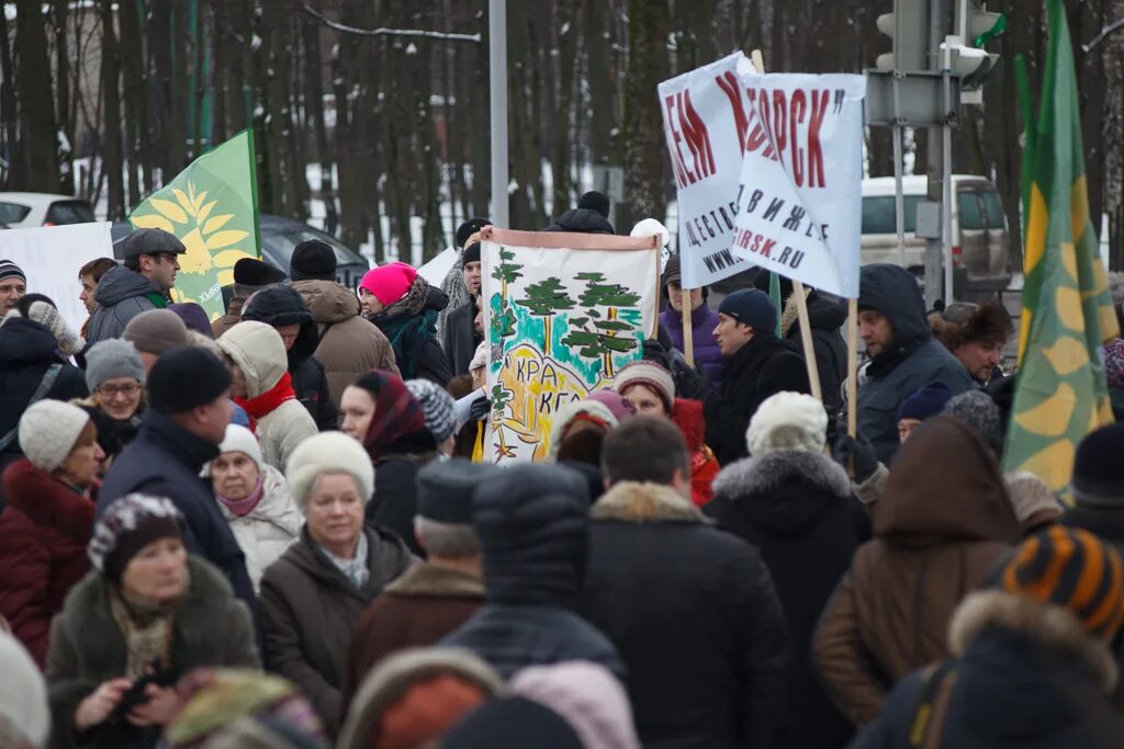 Активистка против вырубки леса. Митинги против вырубки парков. митинг против вырубки леса. красногорская власть. красногорск митинга км.