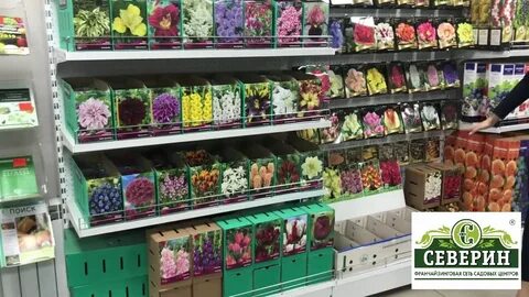 Садовый центр тула каталог