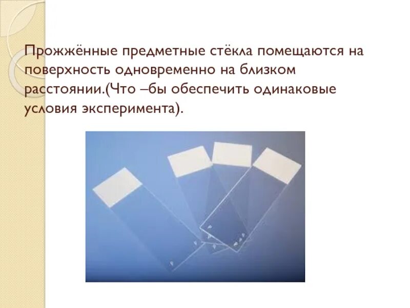 Для чего нужно предметное стекло. Предметные стекла. Предметные стекла для чего. Стекло предметное. Предметное стекло характеристики.