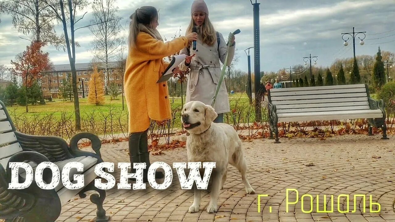 Крестов брод. Парк крестов брод рошаль арт объект семья. рошаль крест. крестов брод парк рошаль новогоднее фото.