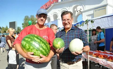 Чехов арбузов