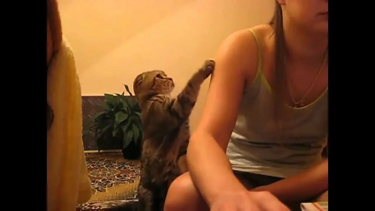 Видеозаписи без названия 7 лет. Им лет по 11 со звуком умора. Видеозаписи без названия мальчик. Голубая орхидея polen duo. Видеозаписи "без названия".