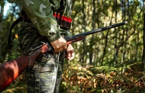 Бродит с ружьем по лесу