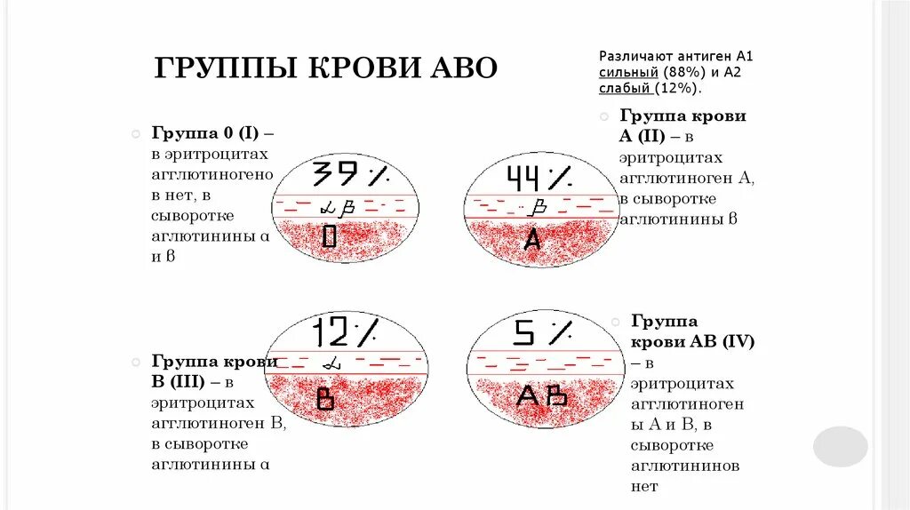 Группы крови список. Группа крови. Кровь группы крови. Группы крови АВО. Болезни 1 группы крови.