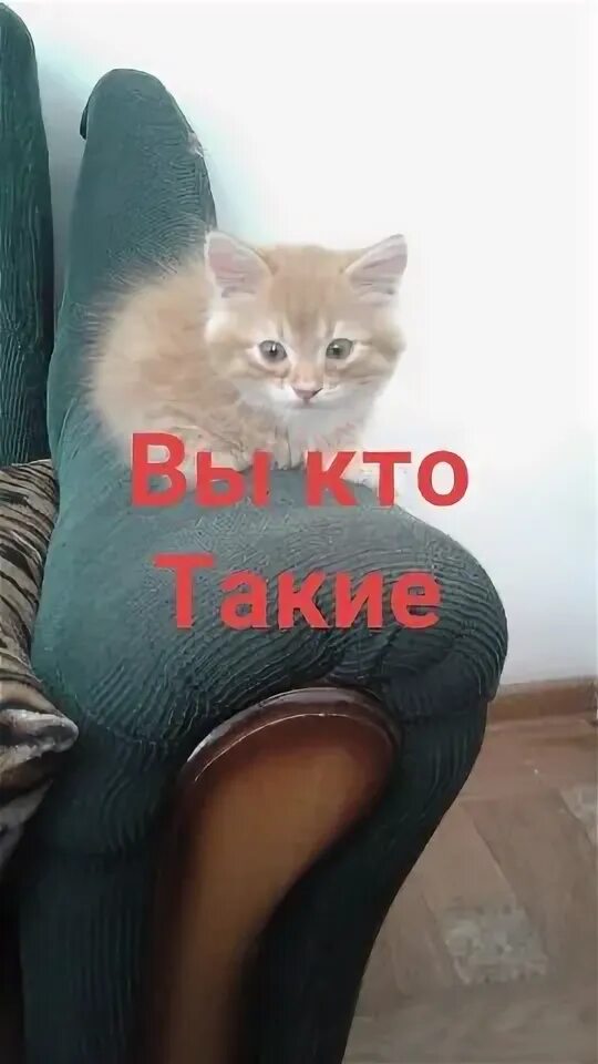 Анекдот вага гала балованая. Шутки про галину. Анекдоты про галю. Ваня галю. Ваня+галя.