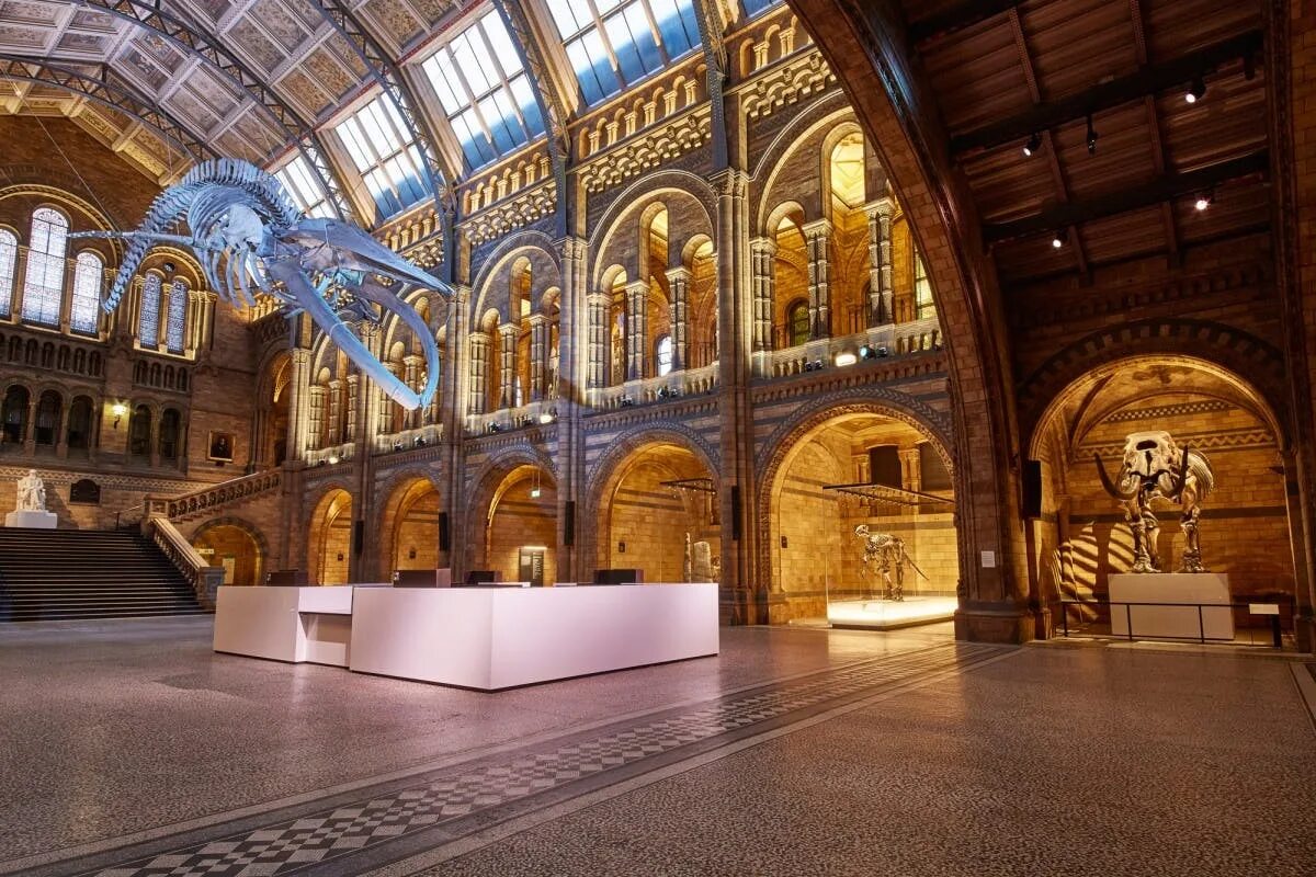 Какие музеи есть в лондоне. Музей естествознания (natural History Museum). Натурал хистори музей Лондон. Хинтце Холл, музей естествознания, Лондон. Музей естествознания, Лондон, Великобритания.