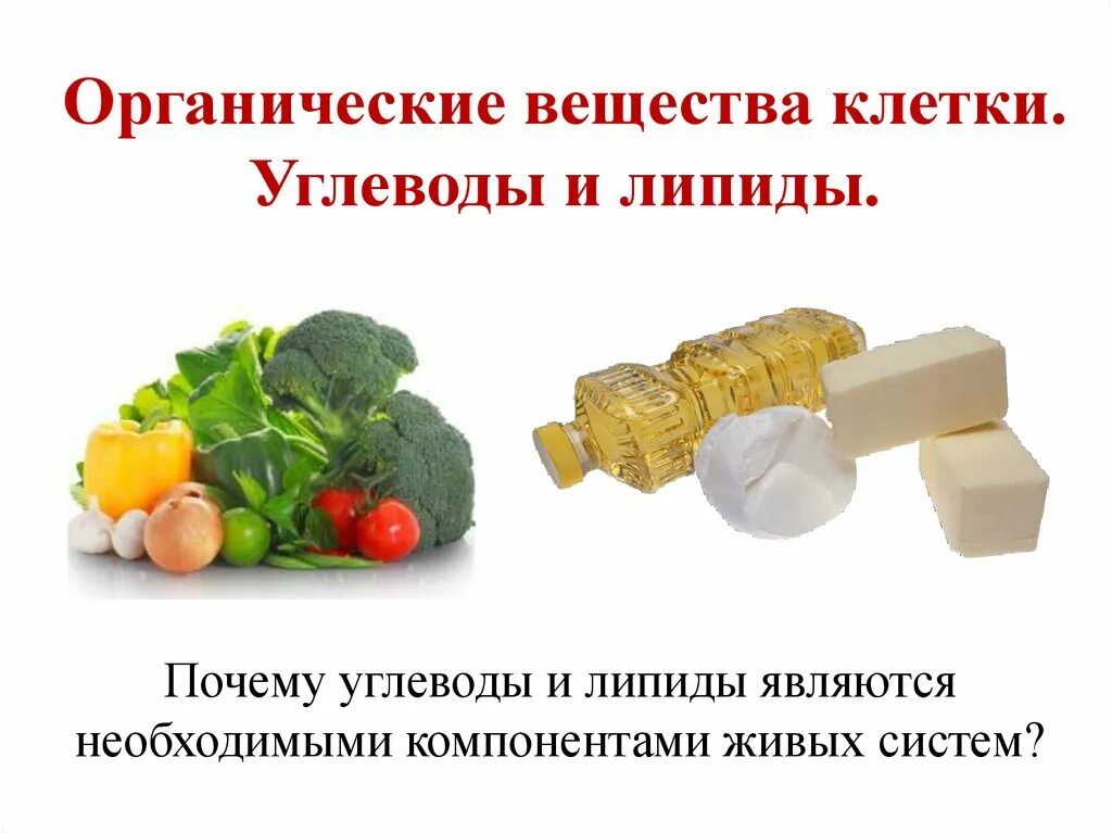 Органические вещества клетки липиды углеводы строение. Органические соединения клетки углеводы. органические вещества углеводы липиды. органические вещества клетки углеводы липиды. белки липиды углеводы.