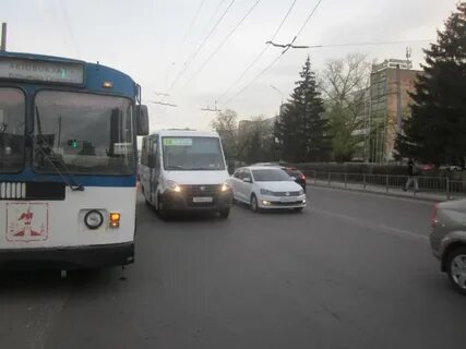 Водитель орел