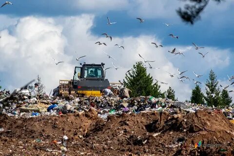Рекультивация городских свалок
