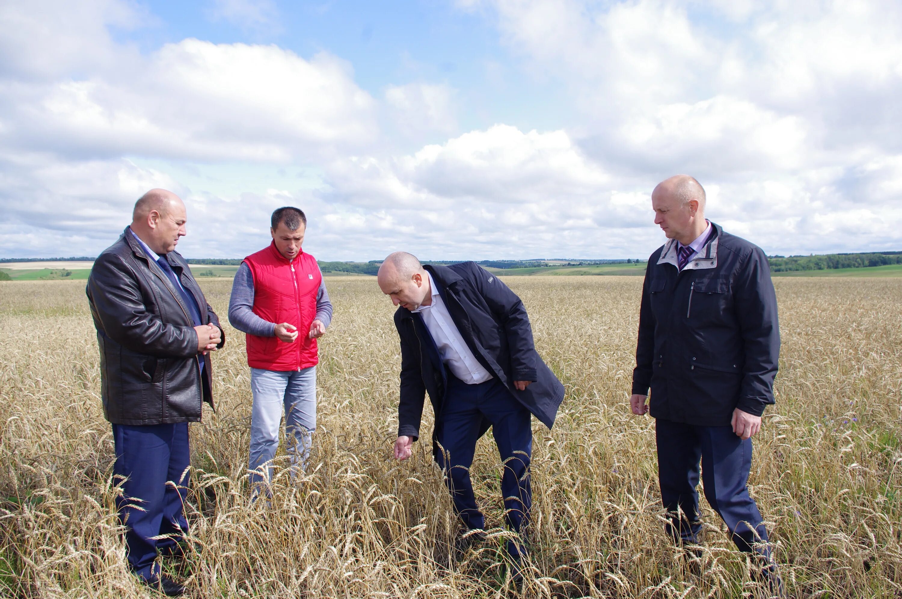 Уборка картофеля. Министр сельского хозяйства чувашской республики. Сайт мсх чувашии. Ооо кипиай агро алатырский район. Сельское хозяйство чувашской республики.