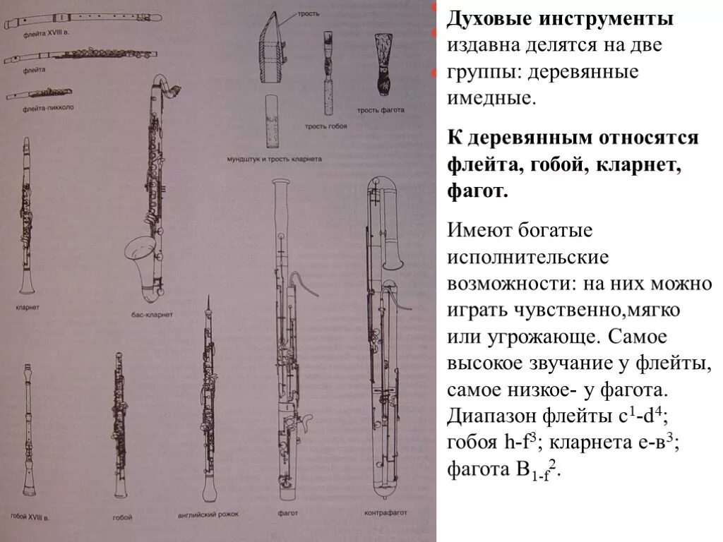 Каким инструментам относится кларнет. Деревянные духовые флейта гобой кларнет Фагот. Деревянные духовые инструменты флейта кларнет гобой Фагот. Духовые инструменты флейта гобой кларнет. Деревянные духовые инструменты симфонического оркестра Фагот.