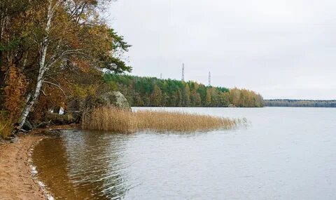 Погода в районе зеркального