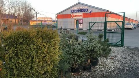 Мир садовый центр