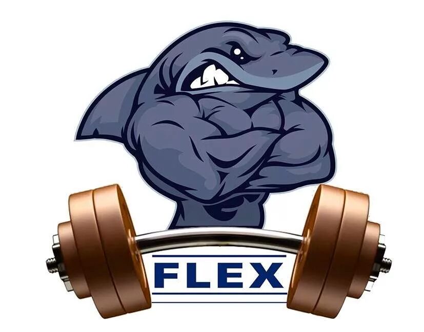 Flex. Flex фитнес. ООО Флекс. Флекс фитнес клуб.