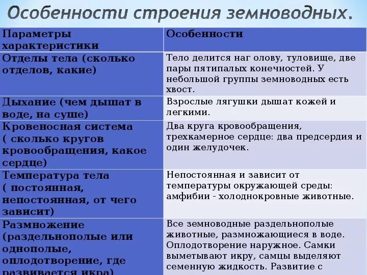 Таблица земноводных 8 класс. Особенности строения земноводных. Особенности строения амфибий. Признаки строения земноводных. Характеристика внутреннего строения земноводных.