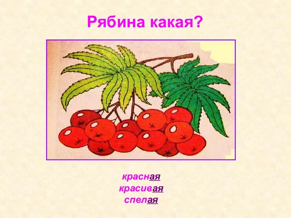 Рябина какая прилагательные. Рябина какая. Какая бывает рябина прилагательные. Прилагательные к слову рябина. Прилагательное к слову рябина