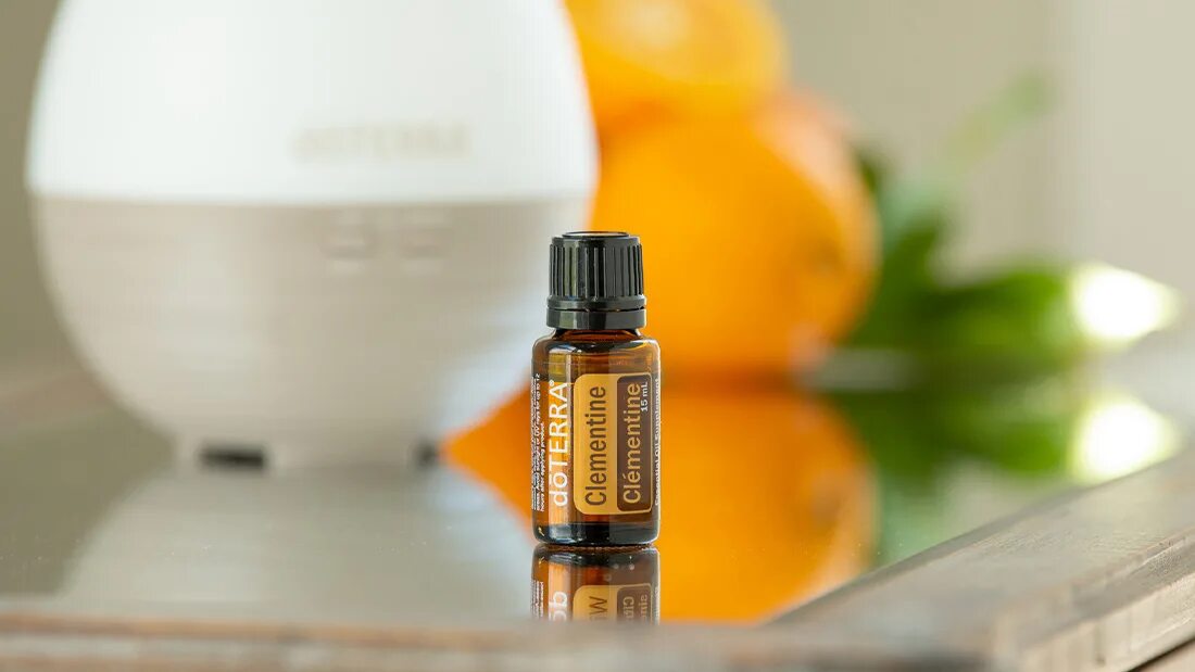 Doterra эфирные масла orange. дикий апельсин wild orange дотерра. дикий апельсин wild orange дотерра. масло дикого апельсина дотерра описание. эфирное масло апельсина дотерра.