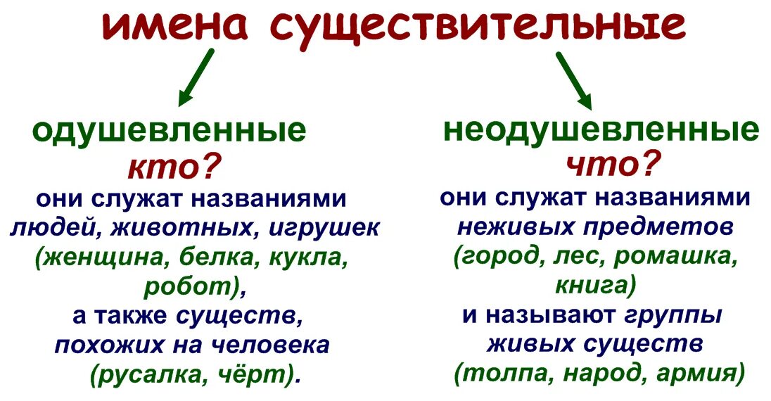 Найдите одушевленное имя существительное