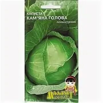 КАПУСТА БЕЛОКОЧАННАЯ СЕМЕНА КУПИТЬ В НОВОСИБИРСКЕ КАМЕННАЯ ГОЛОВА