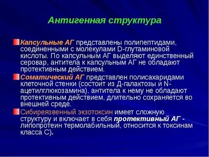 Туберкулезный антиген