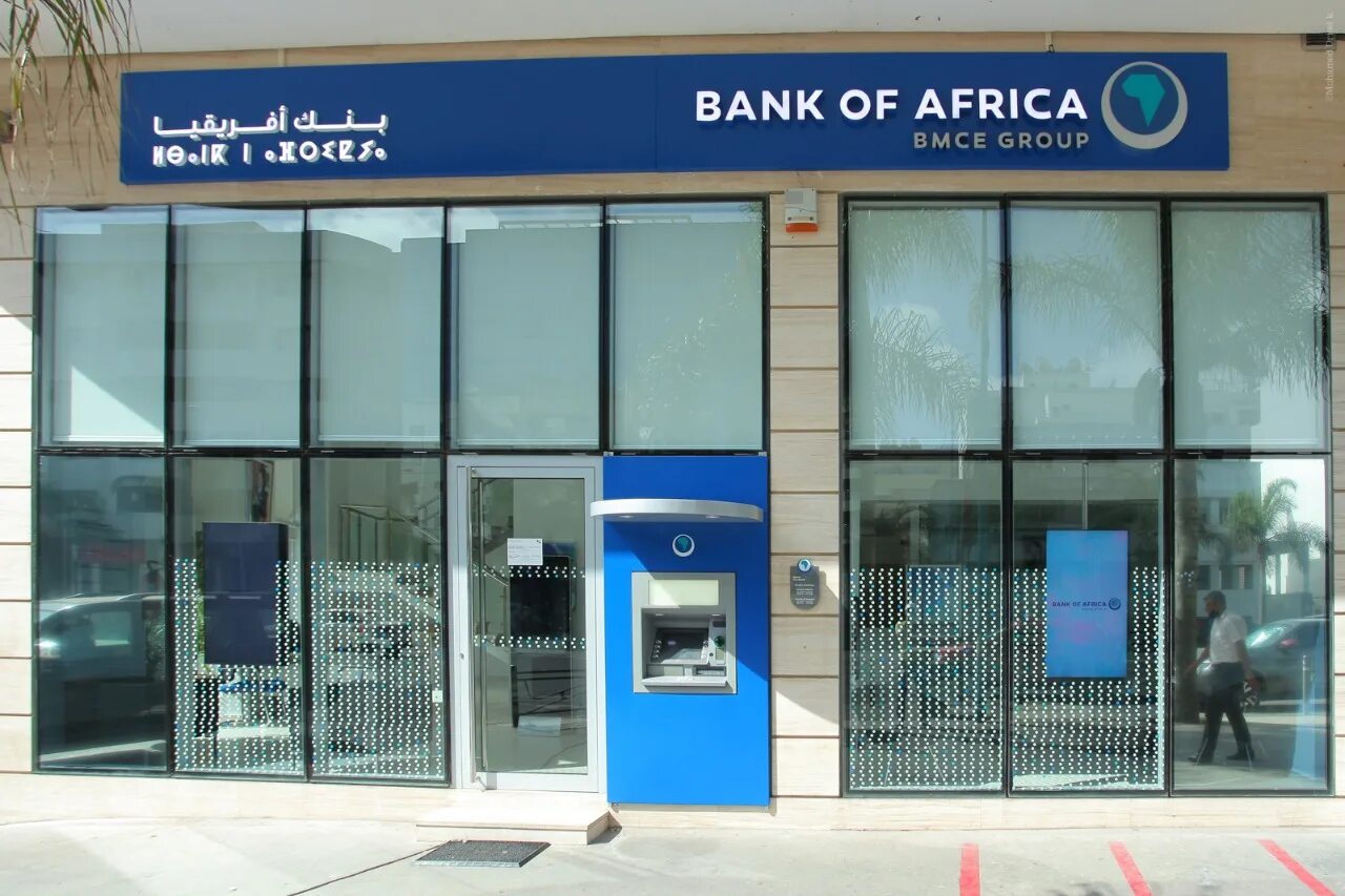 Bank of Africa Group. Banking activity