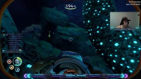 Subnautica коралл