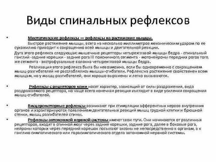 Осуществление рефлексов спинной мозг какая функция
