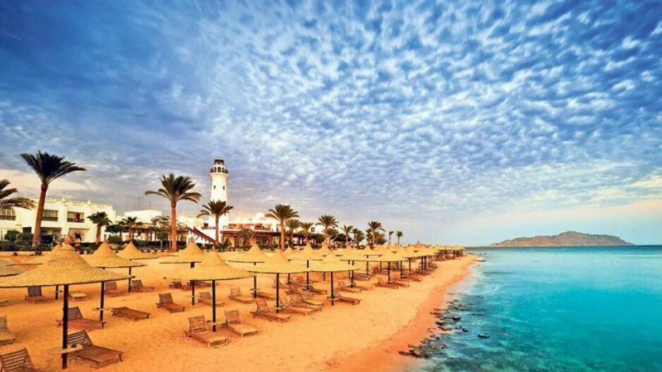 Фотографии Шарм Эль шейха красивые. Фото девушек на пляже Шарм-Эль-Шейх. Sharm el Sheikh Travel. Sharm el Sheikh icon PNG. Погода в шарм эль шейхе в июле
