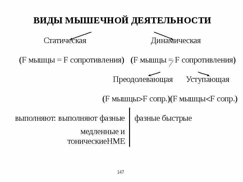 Отличие динамической работы мышц от статической. Виды работ мышц статическая и динамическая. классификация видов мышечной работы. типы работы мышц. виды работы физиология.
