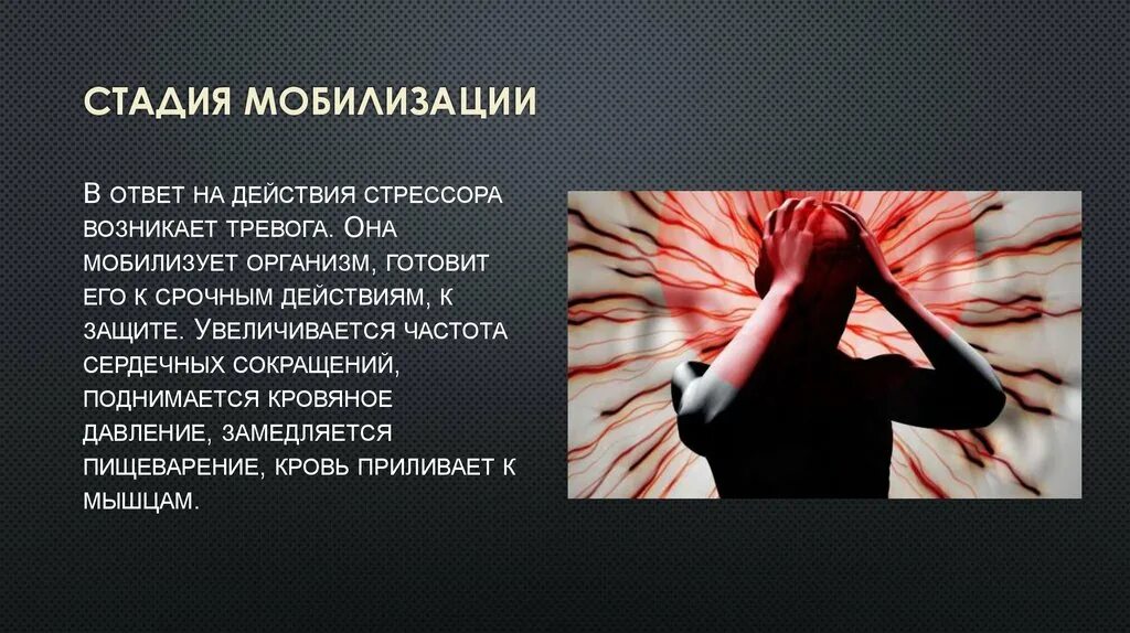 Тревога мобилизации. Стадия мобилизации стресса. Фаза мобилизации при стрессе. Стадия тревоги стресса. Стадия мобилизации стресса кратко.