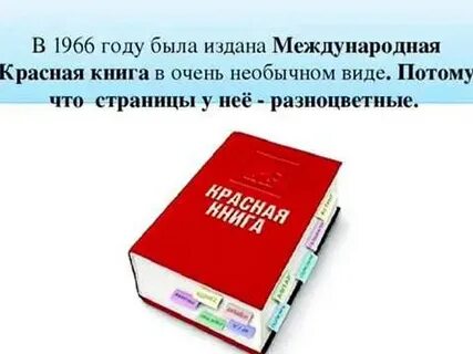 Международная красная книга видео