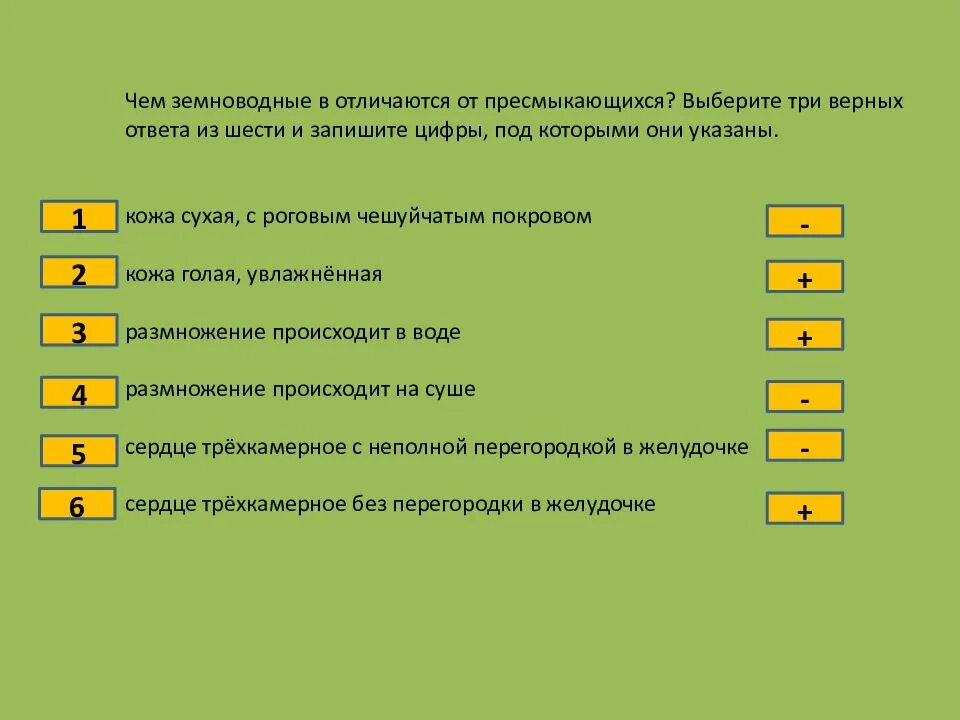 Выберите три верных ответа из шести. Выберите три верных ответа. Вопросы по теме земноводные. Выбери три верных ответа из шести.