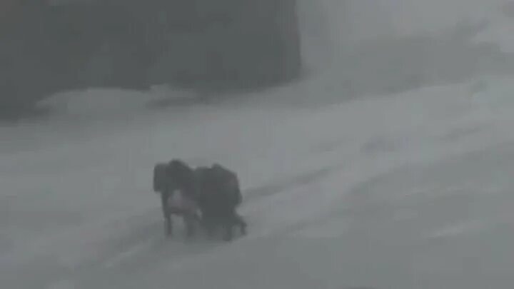 Пурга в Воркуте 1990. Рыжковская Пурга в Воркуте. Рыжковская Пурга в Воркуте 1990. Воркута метель. Рыжковская пурга