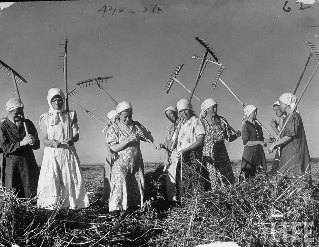 Колхоз хх. Сельское хозяйство ссср после войны. послевоенные годы в колхозе. крестьяне в колхозе. советские труженицы.