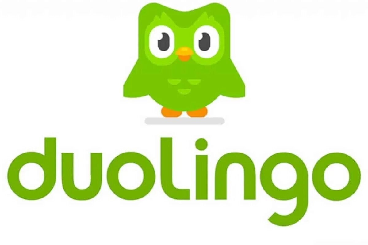 Значок Duolingo. Иконка приложения Duolingo. Duolingo рисунок. Duolingo без фона. Https duolingo com