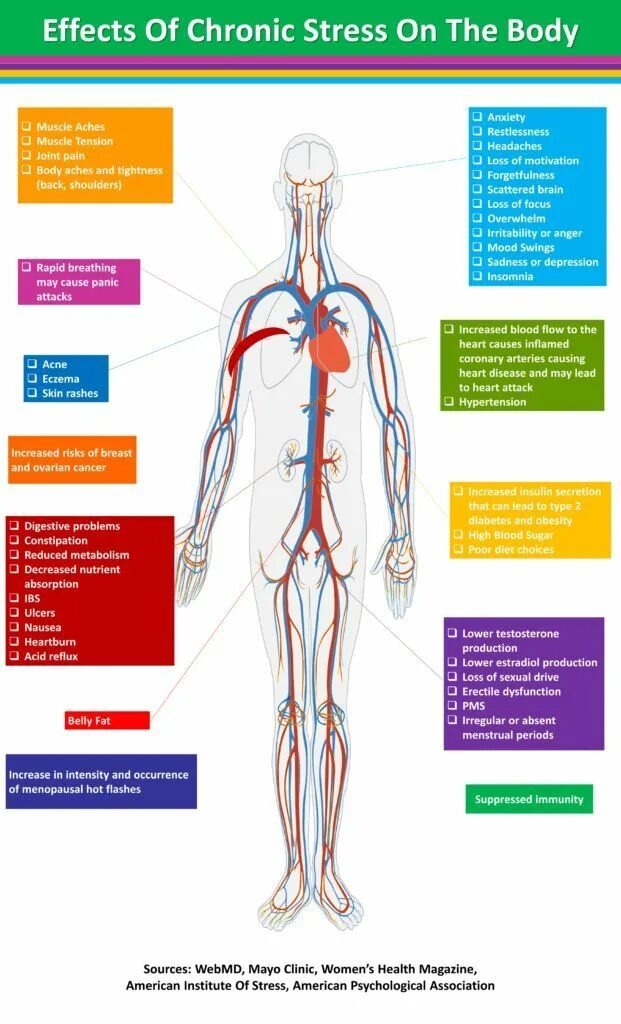 How stress affects our bodies. Chronic stress. the effect of stress on the human body. chronic effect. dogs chronic stress.