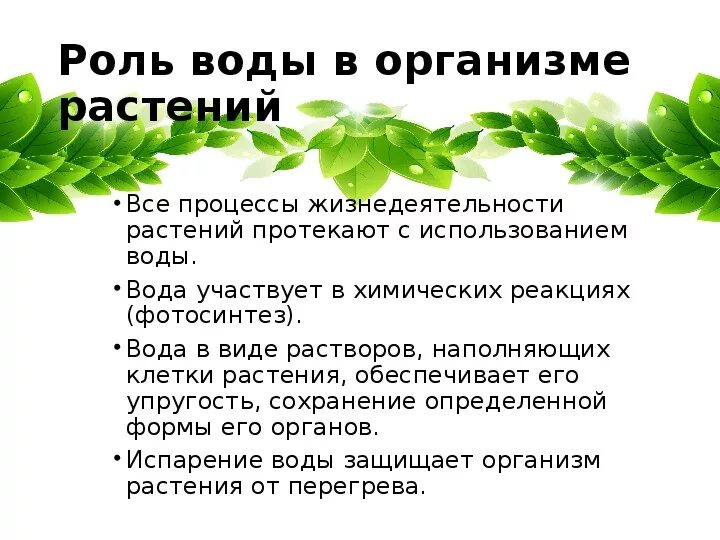 Тест удобрения 6 класс. Урок в 6 кл. Минеральное питание растений. Минеральное питание растений 6 класс биология. Минеральное питание растений презентация. Питание растений 6 класс биология.