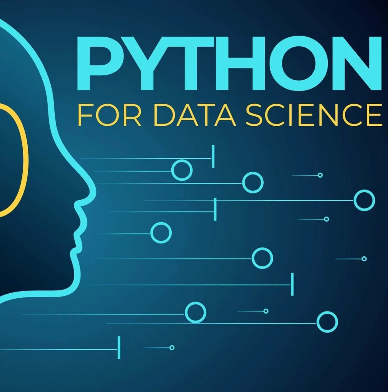 Python для data science. Data science python. номинация для компьютерщика. победитель в номинации программирование. python data science handbook.