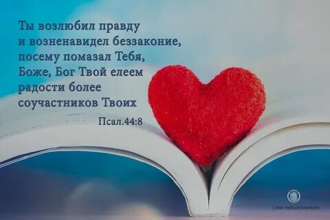 Правду возлюби