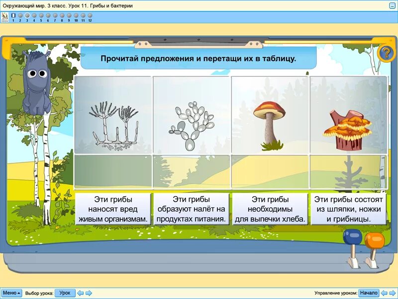 Игры окружающий мир. Интернет урока окружающий мир