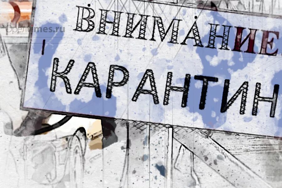 Карантин в палителене. Группа закрыта на карантин. Медицинские маски в школе. Смешные приколы про карантин в школе. Чем заняться во время карантина.