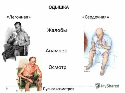 Находиться в спокойном состоянии