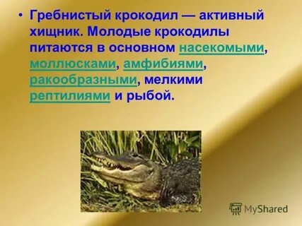 Международная красная книга гребнистый крокодил