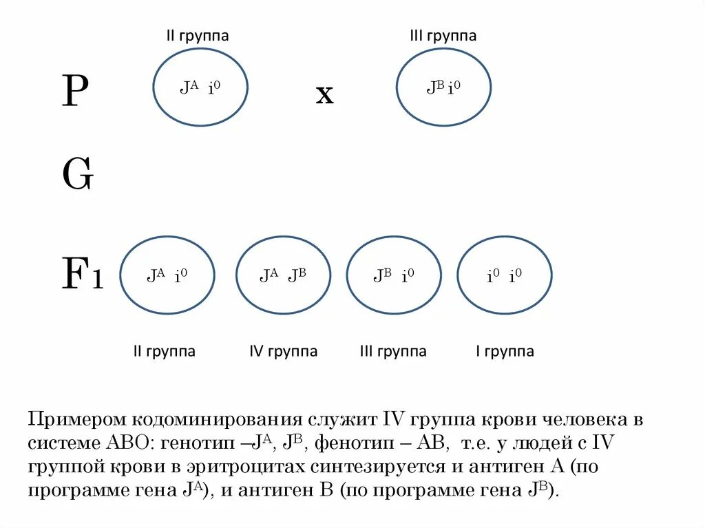 Наследование признаков при кодоминировании. Кодоминирование схема скрещивания. Кодоминирование на примере групп крови. Примеры кодоминирования. Фенотип третьей группы крови