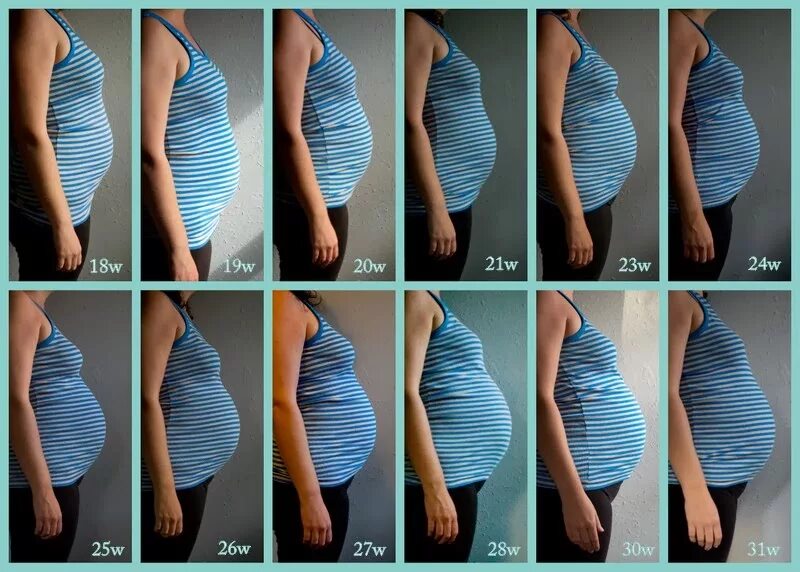 Живот на втором месяце. Беременность живот. Живот у беременных по месяцам. Животики беременных по неделям. Живот беременной на 1 месяце.