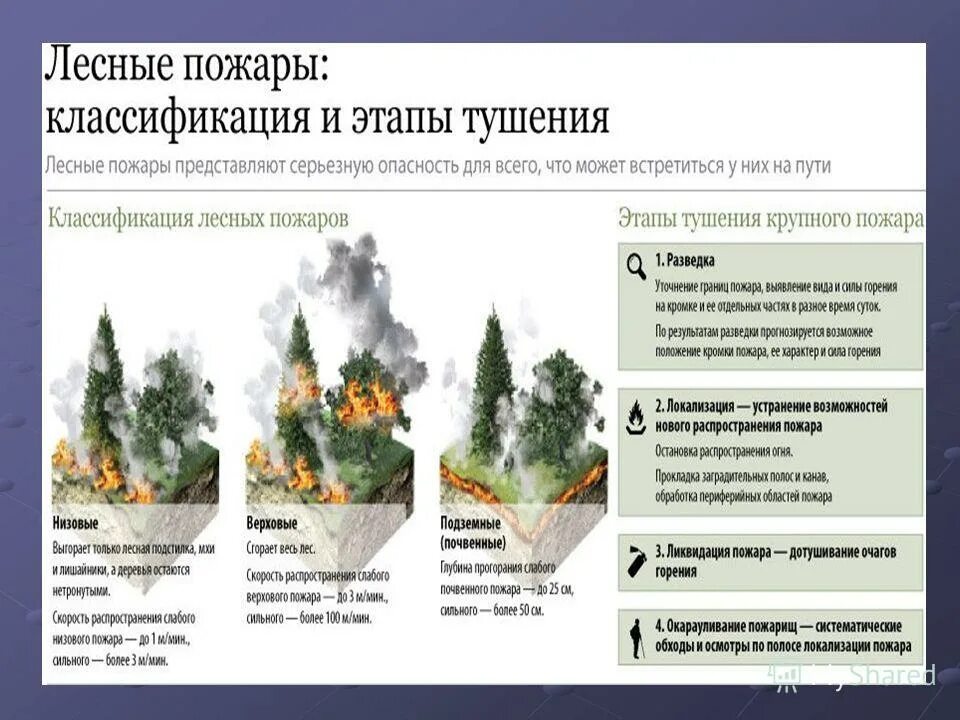 климат саратовской области. пожар в тайге. о чрезвычайных ситуациях в лесах возникших вследствие лесных пожаров. причины природных пожаров. иркутская база авиационной охраны лесов.