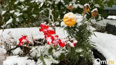 Омск в феврале