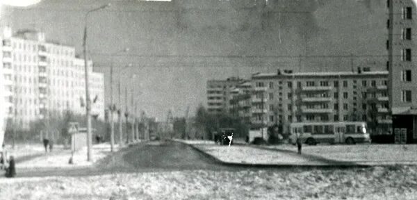 Северное тушино улицы. Тушино в 70. северное тушино 1970 год. северное тушино ул свободы. северное тушино ул героев панфиловцев.