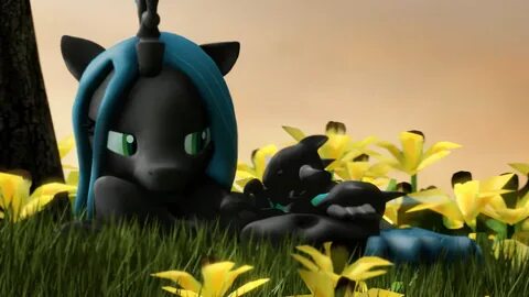 Mlp 3d